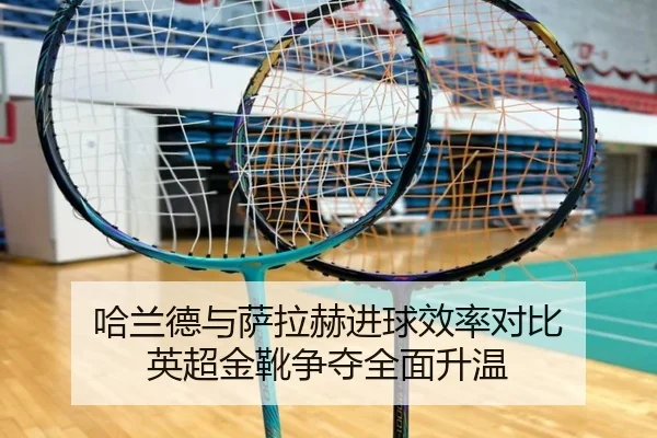 哈兰德与萨拉赫进球效率对比 英超金靴争夺全面升温 - LEJING.COMapp