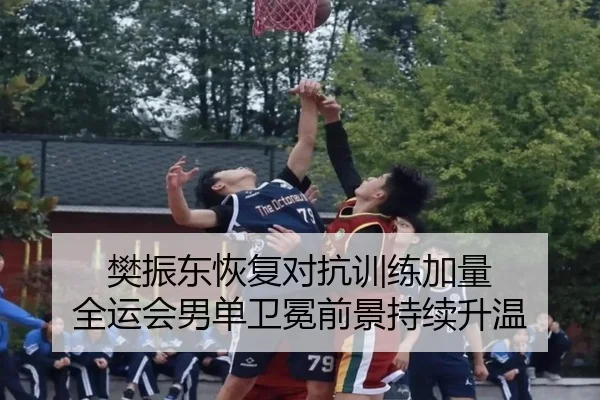 樊振东恢复对抗训练加量 全运会男单卫冕前景持续升温 - LEJING.COMapp