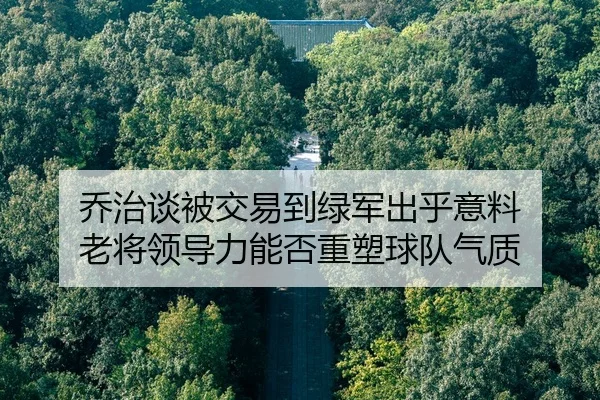 乔治谈被交易到绿军出乎意料 老将领导力能否重塑球队气质 - LEJING.COMapp