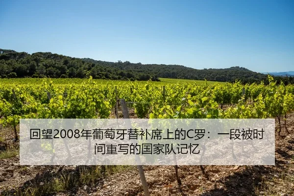 回望2008年葡萄牙替补席上的C罗：一段被时间重写的国家队记忆 - LEJING.COMapp